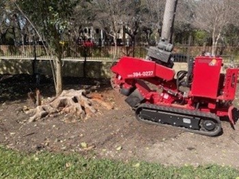 2022 Carlton SP5014 NTX Stump Grinder